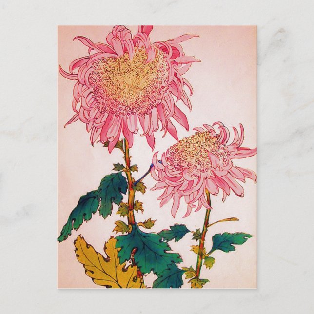Carte Postale Étude florale rose (Devant)