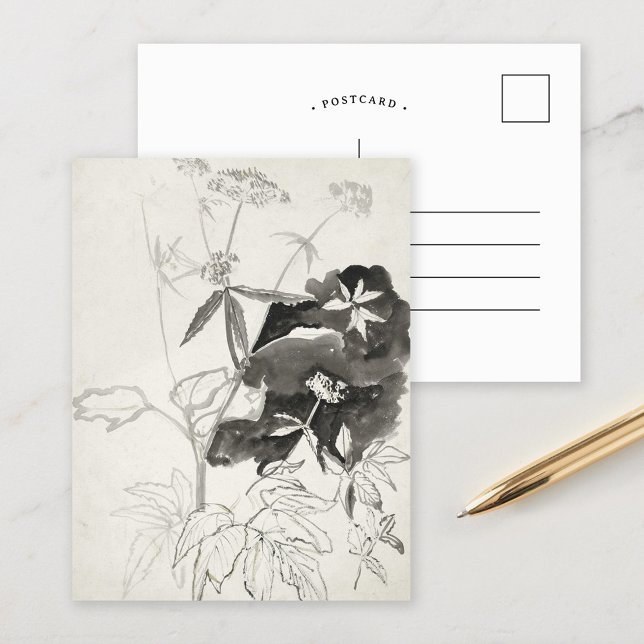 Carte Postale Étude plante | Carel Adolph Cachet (Créateur téléchargé)