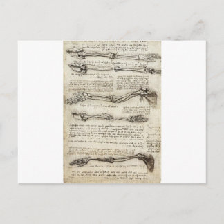 Carte Postale Études du bras par Leonardo Da Vinci c. 1510