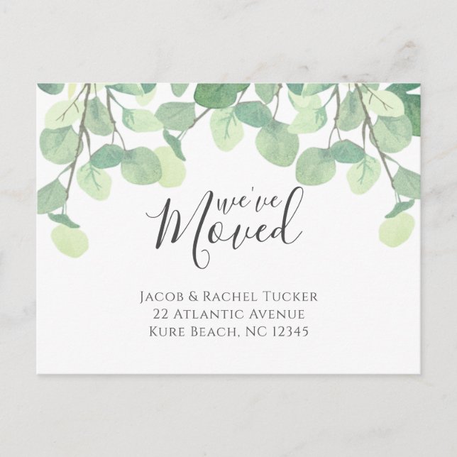 Carte Postale Eucalyptus Nous avons Déménagé Faire-part (Devant)
