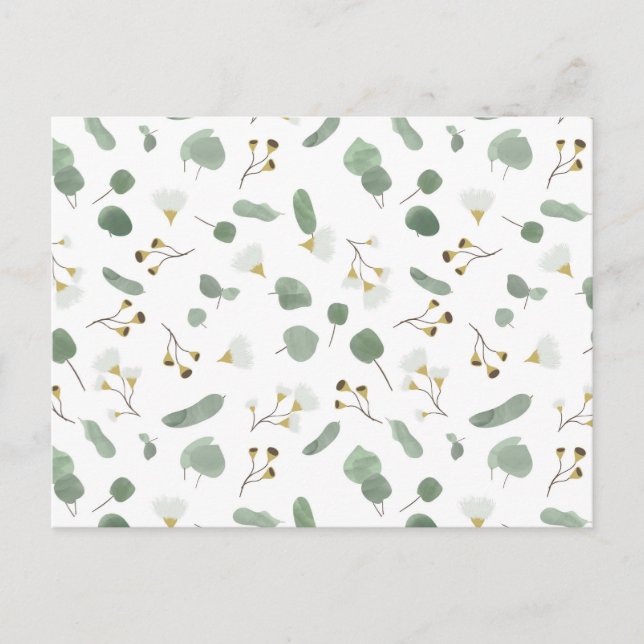 Carte Postale Eucalyptus Vert Argent Dollar Gum Blossoms (Devant)