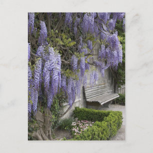 Carte Postale Europe, Autriche, Salzburg Stadt, Salzbourg,
