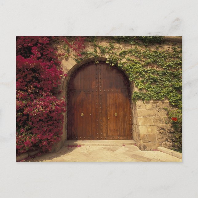 Carte Postale Europe, Espagne, Baléares, Majorque, Palma de (Devant)