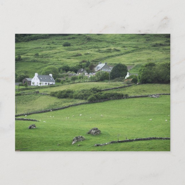 Carte Postale Europe, Irlande, comté de Kerry, Anneau de Kerry. (Devant)