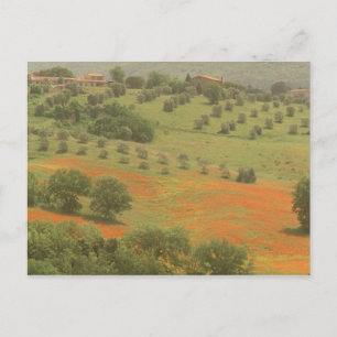 Carte Postale Europe, Italie, Toscane, Val D'Orcia, Mont
