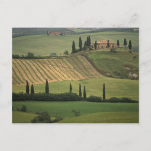 Carte Postale Europe, Italie, Toscane, Val d'Orcia, Toscan