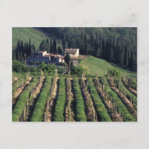 Carte Postale Europe, Italie, Toscane. Villa panoramique chypre.