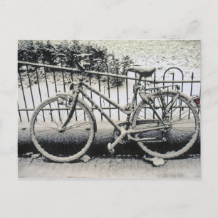 Carte Postale Europe, Les Pays-Bas, Amsterdam. A