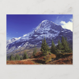 Carte Postale Europe, Suisse, Eiger. Les couleurs de l'automne a