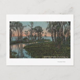 Carte Postale Eustis, Floride - Vue sur le canal de Swampy