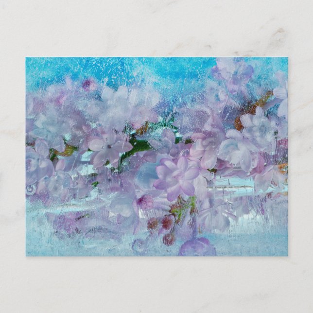 Carte Postale Éveil du printemps (Devant)