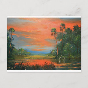 Carte Postale Everglades Fire Sky