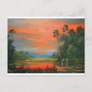 Carte Postale Everglades Fire Sky