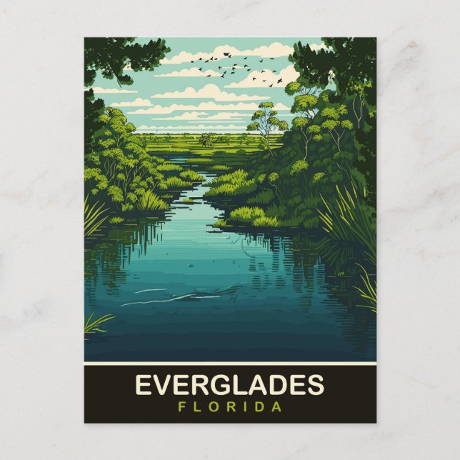 Carte Postale Everglades, Floride, Voyage (Devant)