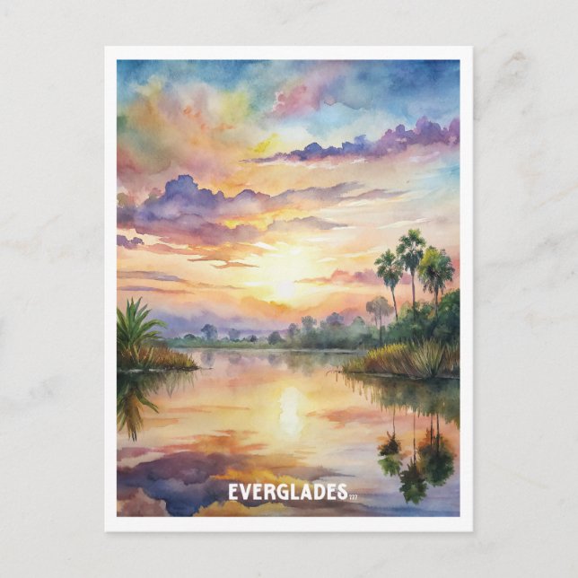 Carte Postale Everglades National Park Aquarelle Peinture (Devant)