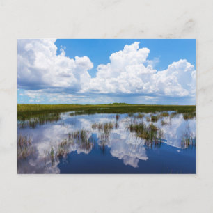 Carte Postale Everglades Natural Landscape