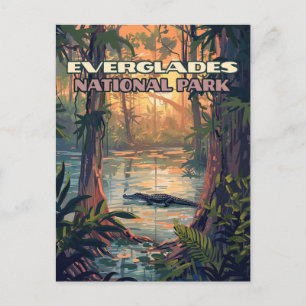 Carte Postale Everglades Parc National Alligator Marécage Florid