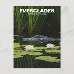 Carte Postale Everglades Parc National Floride Alligator Voyage