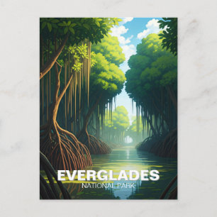 Carte Postale Everglades Parc National Floride Voyage