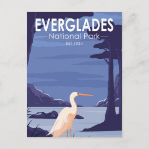 Carte Postale Everglades Parc National Night Egret Vintage