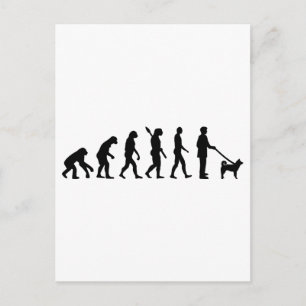 Carte Postale Évolution Akita