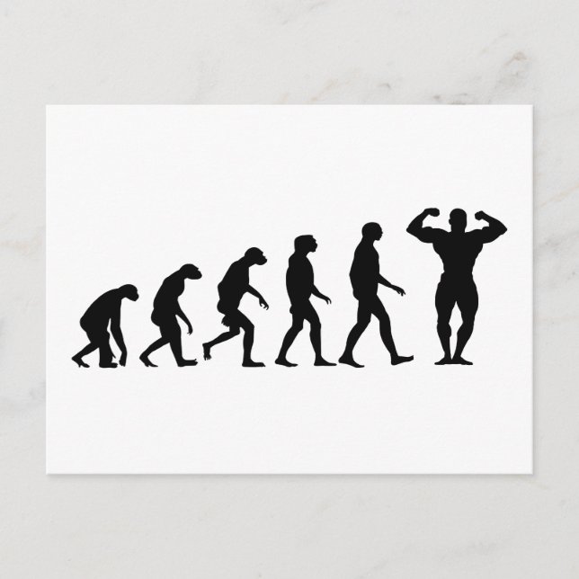 Carte Postale Évolution de la construction du corps (Devant)