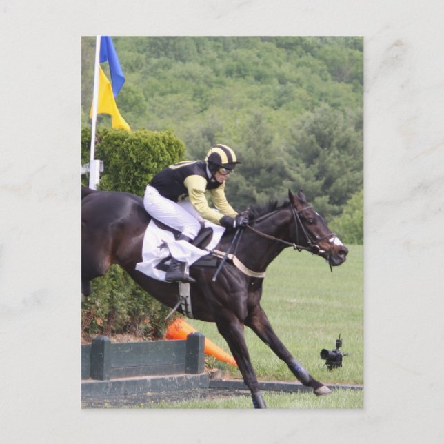 Carte postale Évolution des chevaux (Devant)