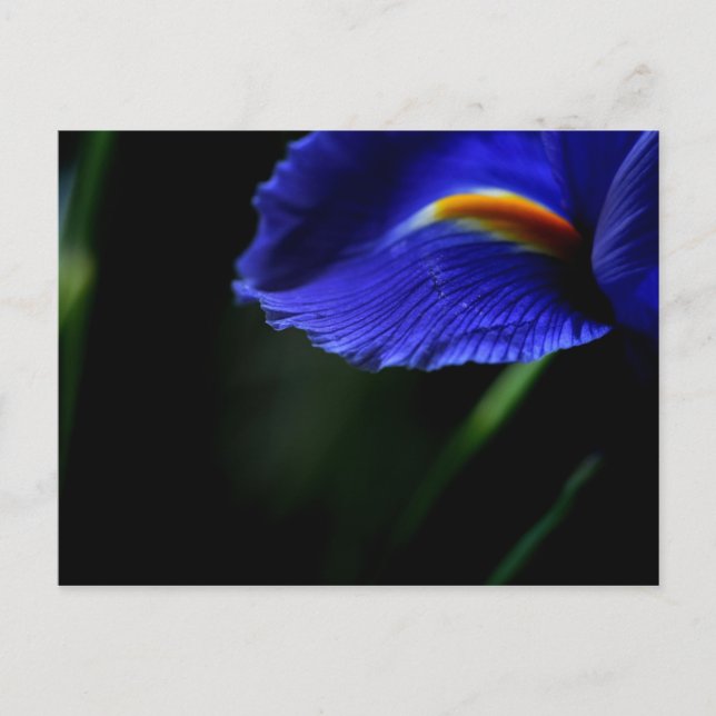 Carte postale exceptionnelle (iris) (Devant)