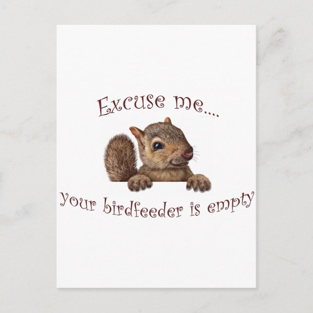 Carte Postale Excusez-moi...votre chargeur d'oiseaux est vide (Devant)