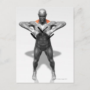 Carte Postale Exercice Ligne droite 2