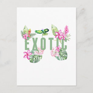Carte Postale Exotique