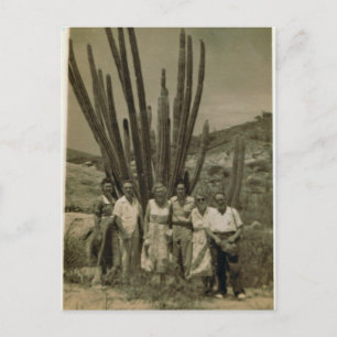 Carte Postale Expatriés travaillant pour Esso à Aruba