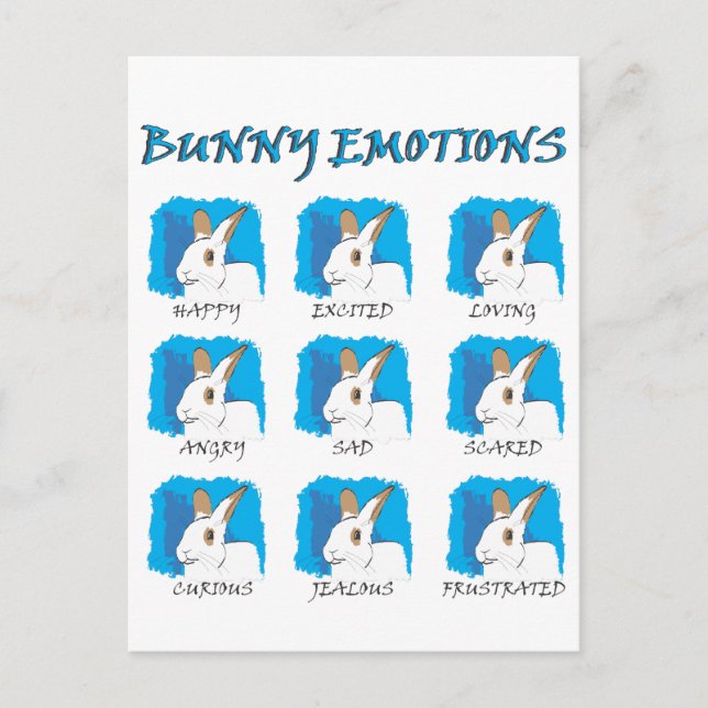 CARTE POSTALE EXPRESSIONS (Devant)