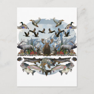 Carte Postale Extérieur à la vie