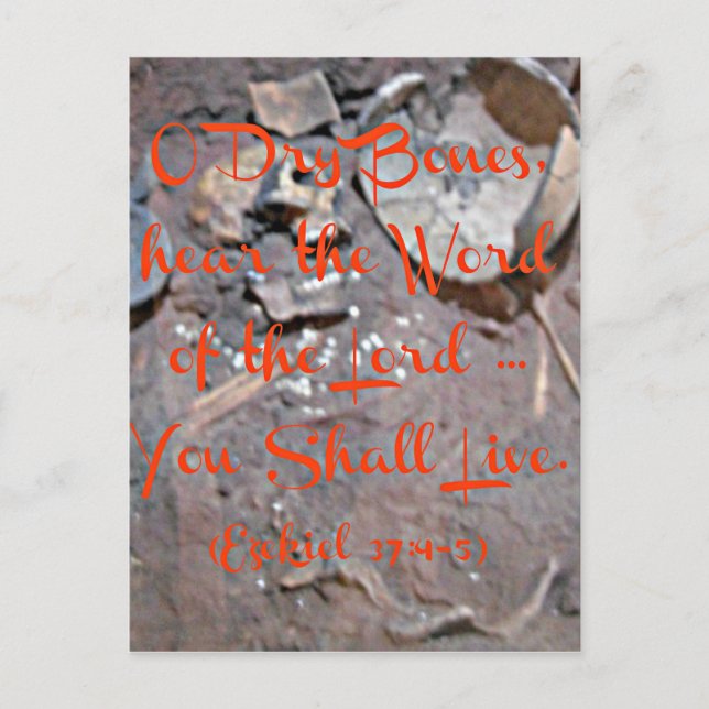 Carte Postale Ezekiel Bible O os secs (Devant)
