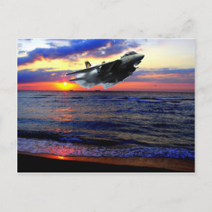 CARTE POSTALE F-14 TOMCAT