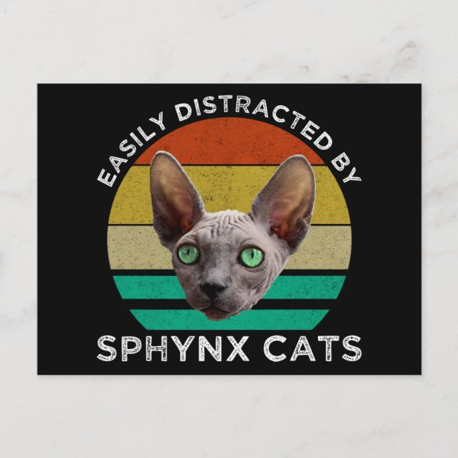 Carte Postale Facilement Distrait Par Les Chats Sphynx (Devant)