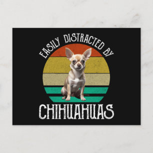 Carte Postale Facilement Distrait Par Les Chihuahuas