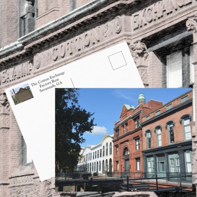 Carte Postale Facteurs d'échange de coton Savannah Ligne Photogr (Créateur téléchargé)