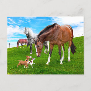 Carte Postale "Faire des amis" 