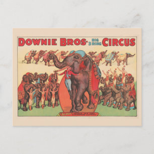 Carte Postale Faire Des Éléphants Avec Des Femmes Et Des Formate