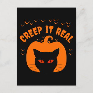 CARTE POSTALE FAIRE LE FOU DRÔLE CHAT HALLOWEEN