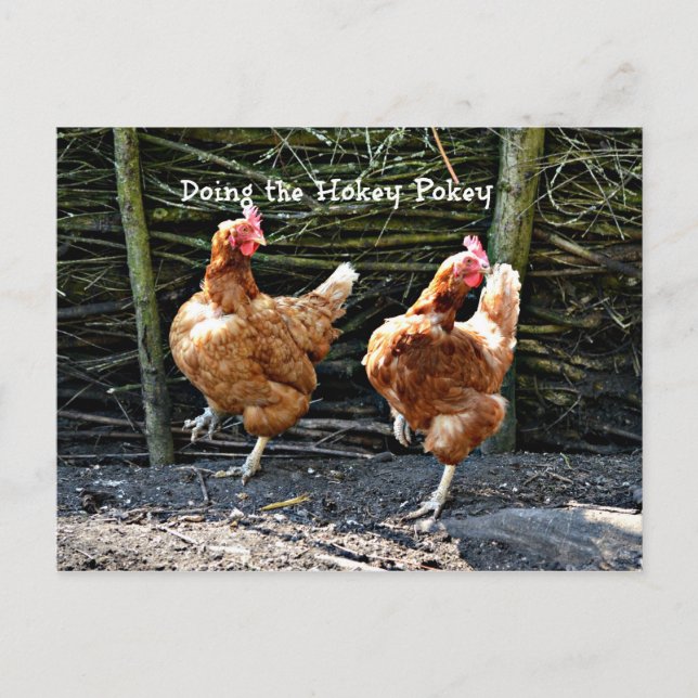 Carte Postale Faire le singe, les poulets de singe (Devant)