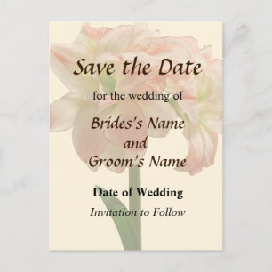 Carte Postale Faire-part Amaryllis Aphrodite Enregistrez la Date