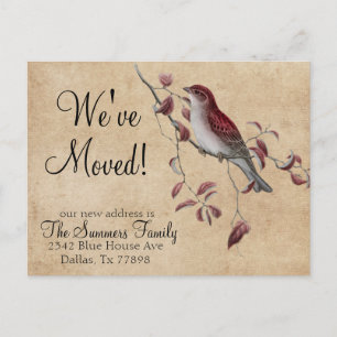 Carte Postale Faire-part Ancien Avis de Changement d'Adresse  Oiseau