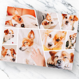Carte Postale Faire-part Animaux domestiques Moderne Simple Personnalisé 9 