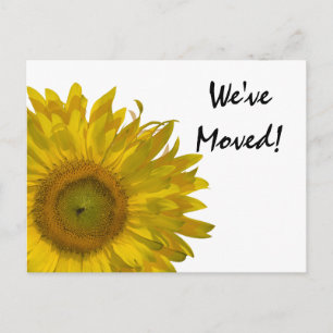 Carte Postale Faire-part Annonce de Changement d'Adresse Tournesol Jaune