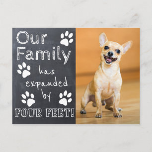 Carte Postale Faire-part Annonce de Nouvel Animal de Compagnie sur Ardoise 