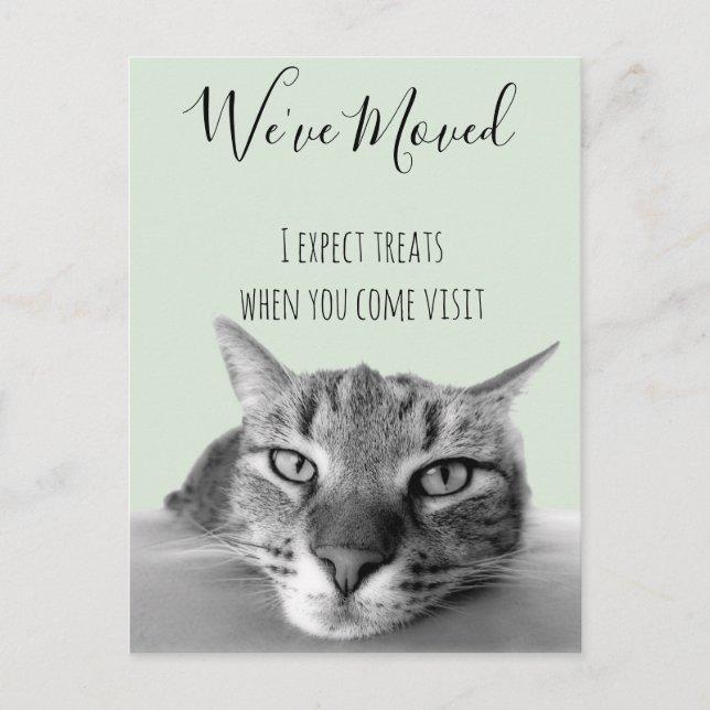 Carte Postale Faire-part Annonce de Nouvelle Adresse De Chat Drôle (Devant)