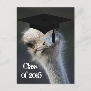 Carte Postale Faire-part Annonce de remise de diplôme